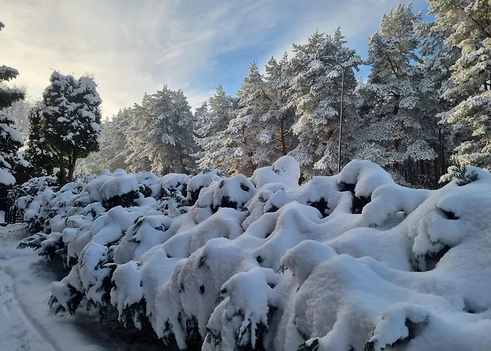 Antano Гостьовий будинок 3*