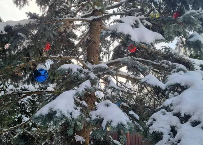 Гостьовий будинок Antano